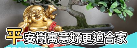 王字部 平安樹風水